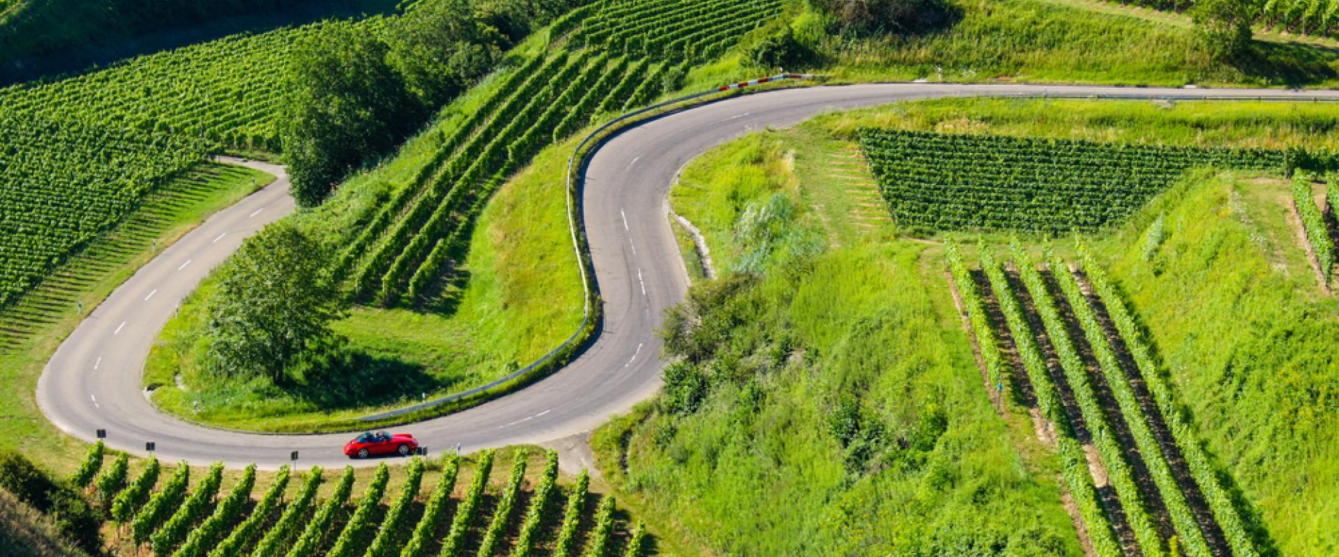 Eine kurvige Landstraße schlängelt sich durch grüne Weinberge, ein rotes Auto fährt entlang, umgeben von üppigem Grün und klarer Sommeratmosphäre.