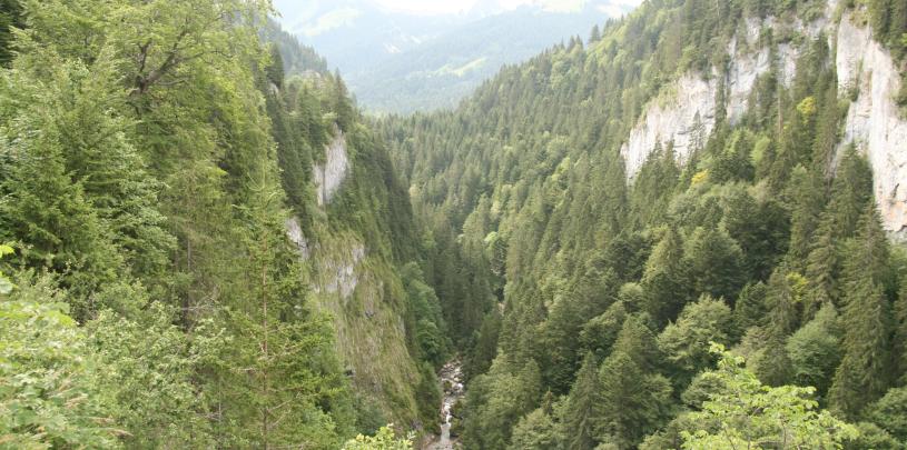 2009-07-11 Urlaub Schweiz 2778 Col des Mosses, Nordrampe, 11 km nach dem Pass.JPG