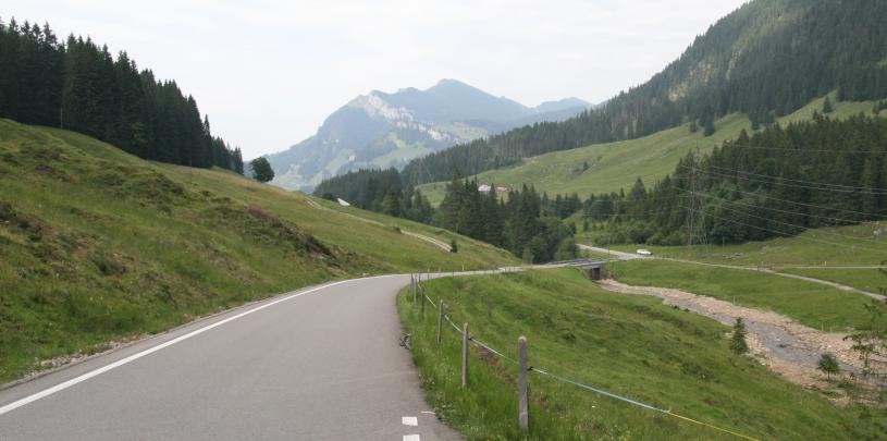 2009-07-14 Urlaub Schweiz 4459 Glaubenbergpass, Nordrampe, 3 km nach dem Pass.JPG
