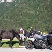 Passo della Borcola 