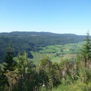 Col de la Faucille