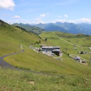 2019-07-10 Urlaub A-I 01801 Kitzbueheler Horn, Abstieg zum Alpenhaus.JPG