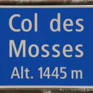 2009-07-11 Urlaub Schweiz 2771a Col des Mosses 1445 m.JPG