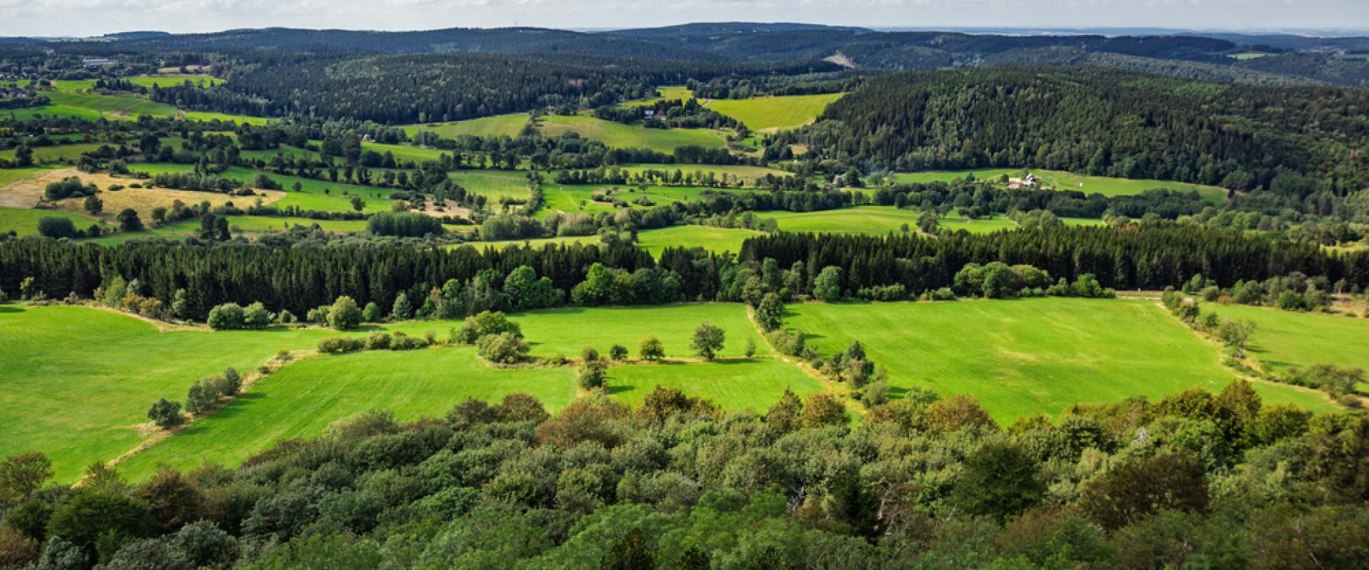 Blick von Altenberg im Erzgebirge 