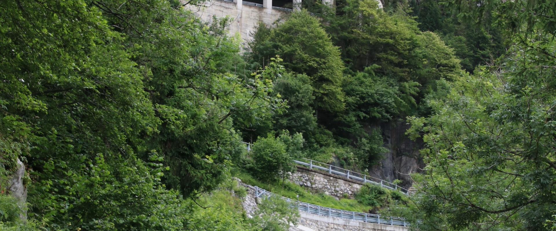 Plöckenpass inmitten von Wald und Gestein