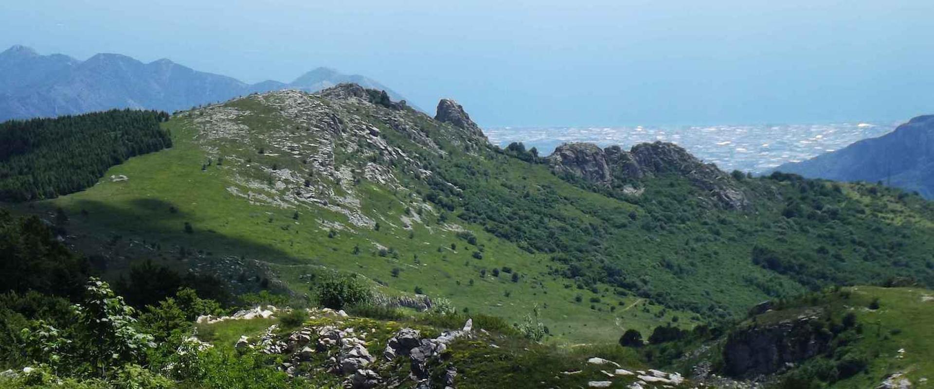 Monte Dubasso