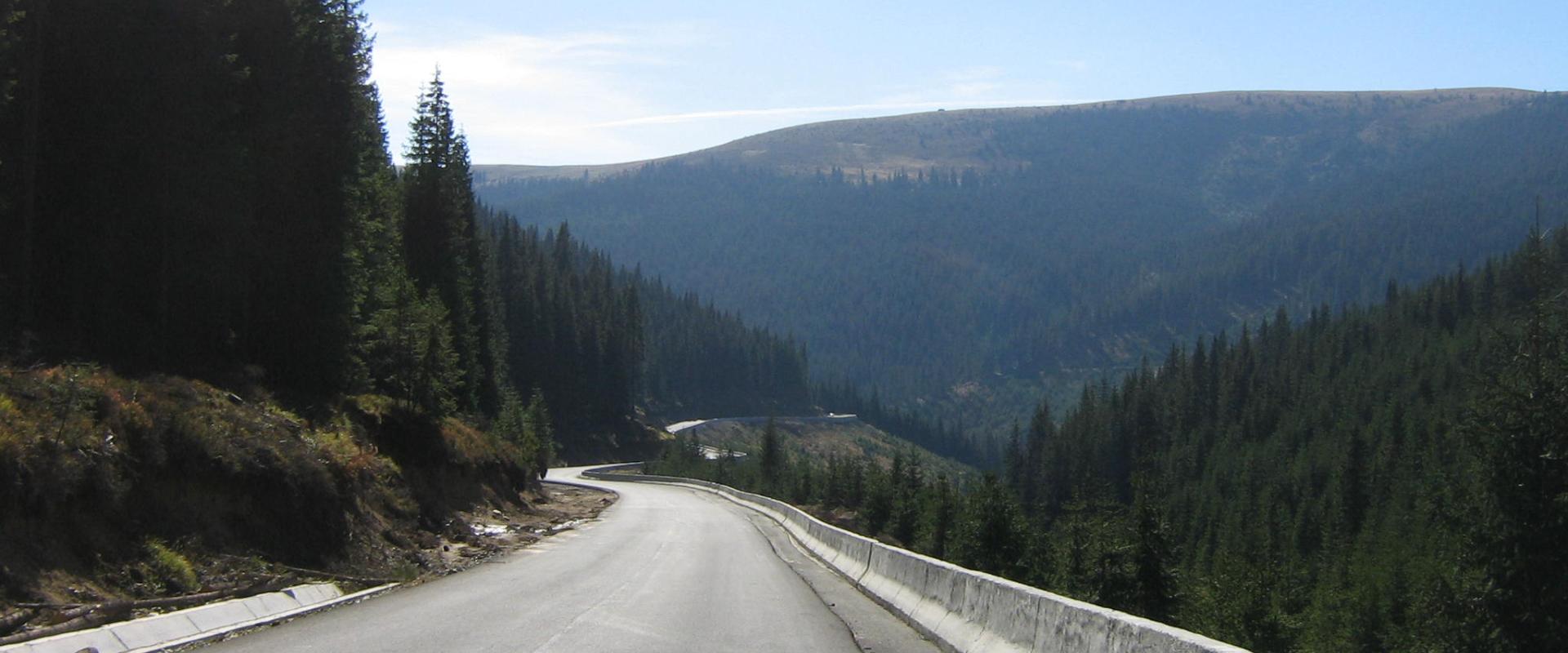 Geteerte Straße auf der Transalpina mit Betonabweisern rechts, die sich durch ein Tal mit Bäumen schlängelt