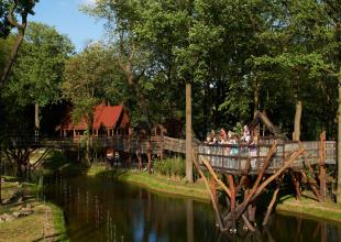 Zoom Erlebniswelt - Canopy_Walk