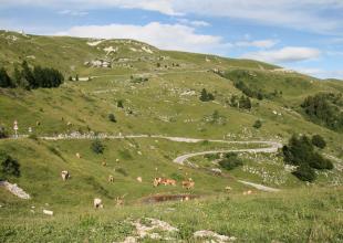 Monte Grappa