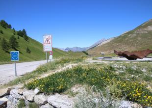 Col de Larche-Colle della Maddalena