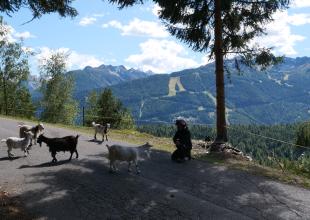 Passo di Guspessa