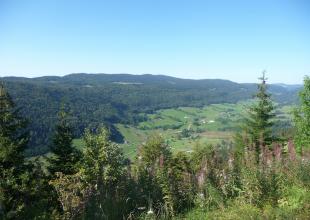 Col de la Faucille