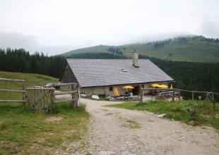 Postalmhütte, an der Postalmstraße, mit Blick auf Wald und Wiesen