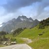 Arlbergpass, mit Blick auf Wiese, Wälder und Berge 