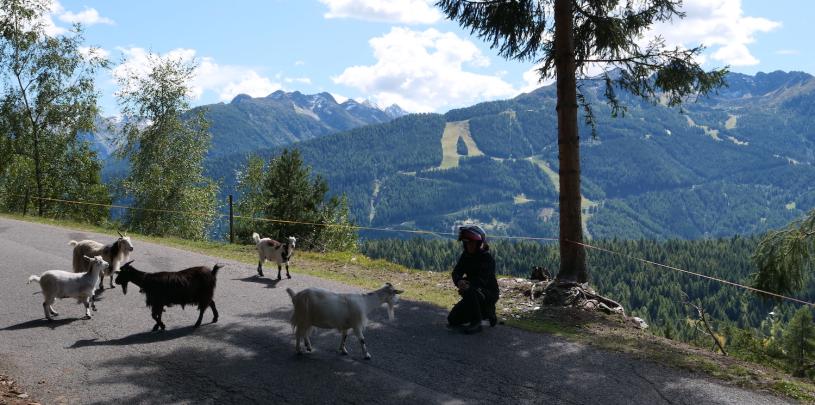 Passo di Guspessa