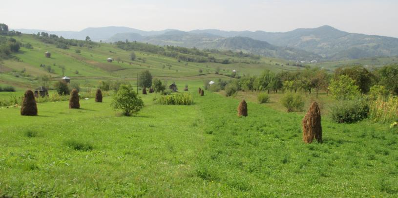 Rumänische Landschaft mit traditionellen Heuhaufen auf grünen Feldern, sanften Hügeln im Hintergrund und einem leichten Blick auf einen Motorradspiegel im Vordergrund.