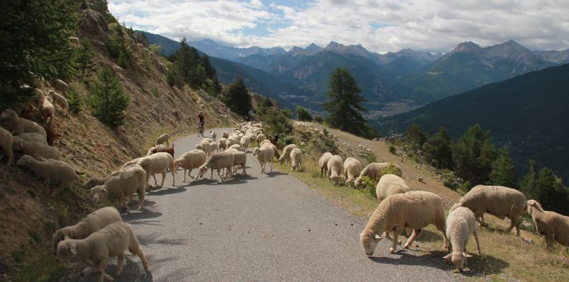 2012-07-13 Urlaub F 1516 Col du Granon.JPG