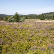 Hochheide Sauerland 