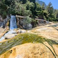 Im Vordergrund ein Felsen mit grünen Algen bewachsen, im Hintergrund ist ein kleiner Wasserfall  mit Bäumen